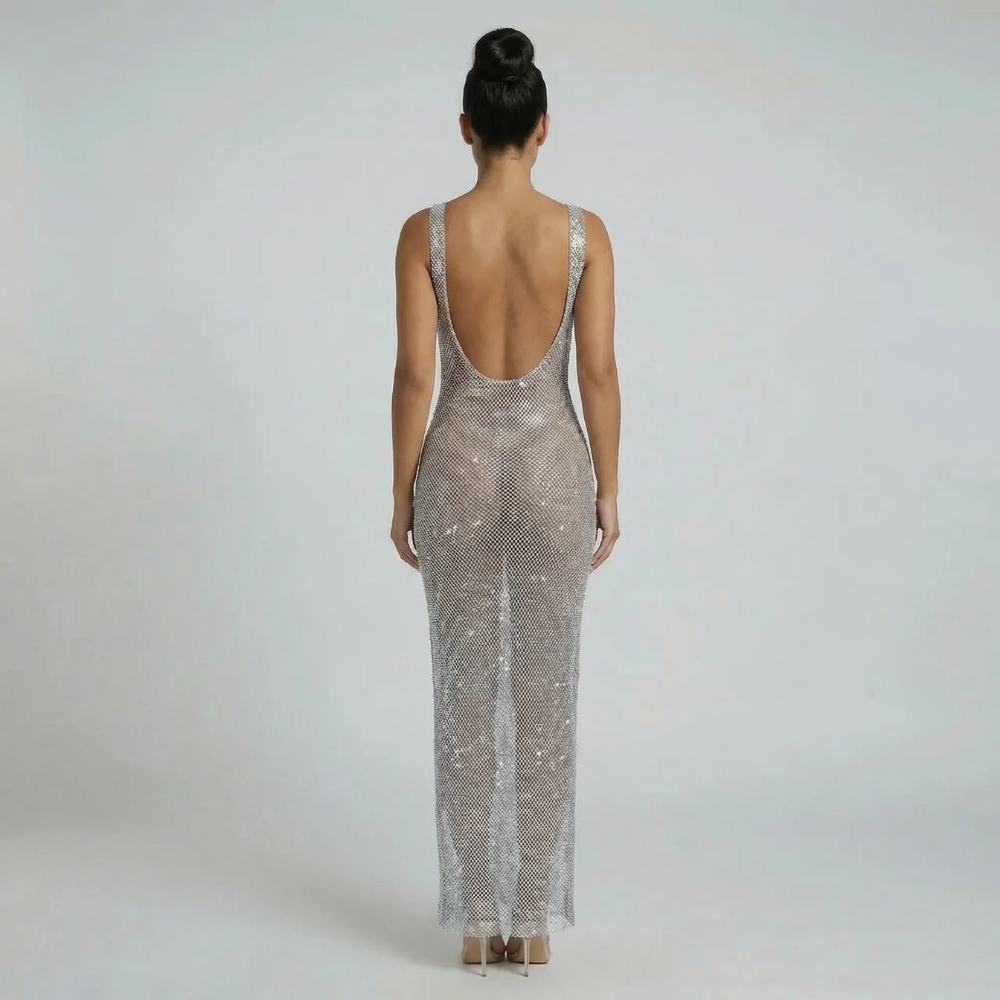 Silver mesh shimmer maxi dress — back view showcasing low scoop back detail